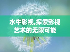 水牛影视,探索影视艺术的无限可能