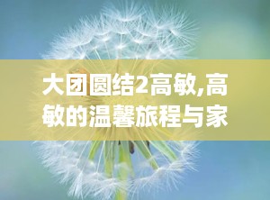大团圆结2高敏,高敏的温馨旅程与家庭情感纠葛