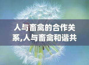 人与畜禽的合作关系,人与畜禽和谐共生的现代养殖模式探析