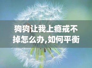 狗狗让我上瘾戒不掉怎么办,如何平衡宠物的依赖与生活平衡