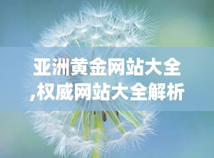 亚洲黄金网站大全,权威网站大全解析
