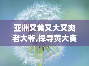亚洲又黄又大又爽老大爷,探寻黄大爽老大爷的传奇故事