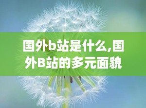 国外b站是什么,国外B站的多元面貌与相似平台解析