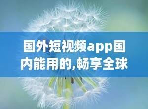 国外短视频app国内能用的,畅享全球潮流内容