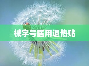 械字号医用退热贴