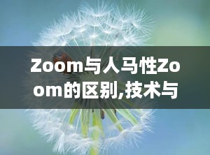Zoom与人马性Zoom的区别,技术与应用的深度解析