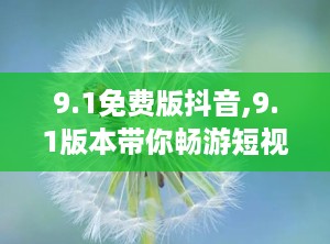9.1免费版抖音,9.1版本带你畅游短视频世界