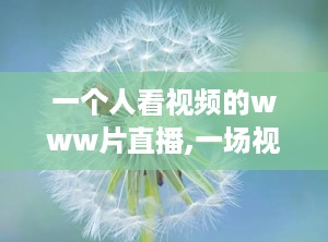 一个人看视频的www片直播,一场视觉盛宴的幕后故事