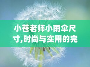 小苍老师小雨伞尺寸,时尚与实用的完美结合