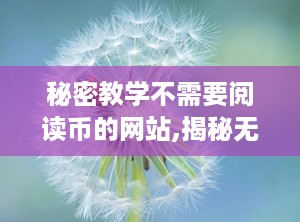 秘密教学不需要阅读币的网站,揭秘无阅读币限制的秘密教学平台