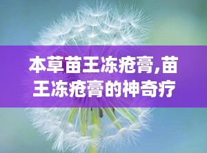 本草苗王冻疮膏,苗王冻疮膏的神奇疗效揭秘”