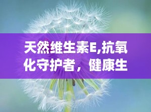 天然维生素E,抗氧化守护者，健康生活必备良品