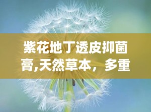 紫花地丁透皮抑菌膏,天然草本，多重功效，守护肌肤健康