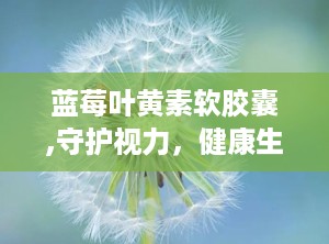 蓝莓叶黄素软胶囊,守护视力，健康生活新选择