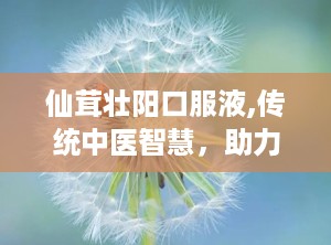 仙茸壮阳口服液,传统中医智慧，助力男性健康养生之道