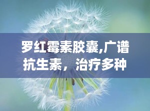 罗红霉素胶囊,广谱抗生素，治疗多种感染性疾病的有效选择