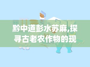 黔中道彭水苏麻,探寻古老农作物的现代魅力