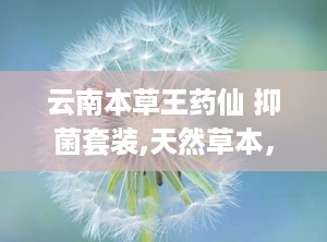 云南本草王药仙 抑菌套装,天然草本，守护肌肤健康新选择”