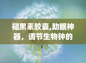 褪黑素胶囊,助眠神器，调节生物钟的秘密武器