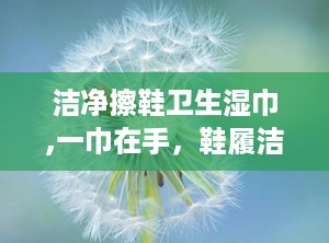 洁净擦鞋卫生湿巾,一巾在手，鞋履洁净如新