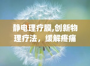 静电理疗膜,创新物理疗法，缓解疼痛，促进康复