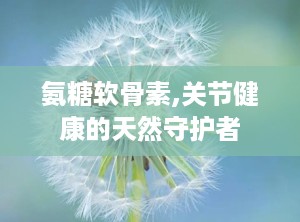 氨糖软骨素,关节健康的天然守护者