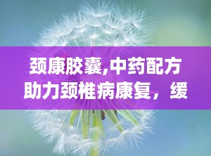 颈康胶囊,中药配方助力颈椎病康复，缓解疼痛与不适