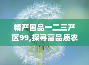 精产国品一二三产区99,探寻高品质农业、工业与服务业的融合发展
