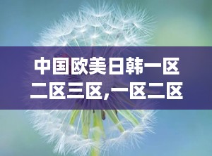 中国欧美日韩一区二区三区,一区二区三区文化碰撞与共融发展