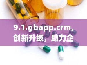 9.1.gbapp.crm,创新升级，助力企业高效管理