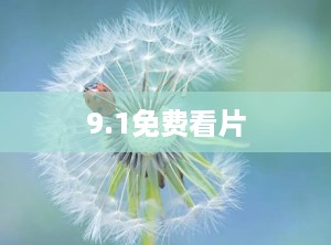 9.1免费看片