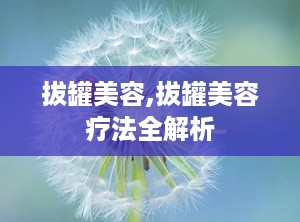 拔罐美容,拔罐美容疗法全解析