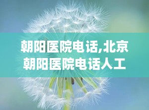 朝阳医院电话,北京朝阳医院电话人工服务电话