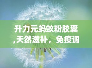 升力元蚂蚁粉胶囊,天然滋补，免疫调节，守护健康之道