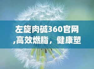 左旋肉碱360官网,高效燃脂，健康塑形，揭秘减肥新选择