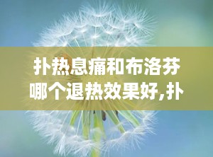 扑热息痛和布洛芬哪个退热效果好,扑热息痛与布洛芬退热效果对比解析