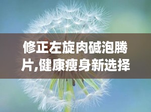 修正左旋肉碱泡腾片,健康瘦身新选择，助力脂肪燃烧与运动表现提升