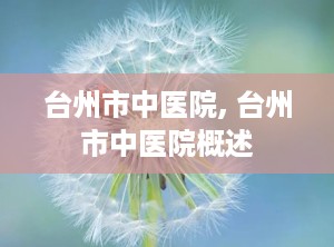 台州市中医院, 台州市中医院概述