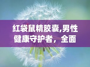 红袋鼠精胶囊,男性健康守护者，全面解析其神奇功效与作用