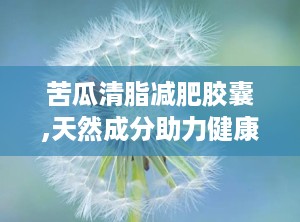 苦瓜清脂减肥胶囊,天然成分助力健康瘦身新选择