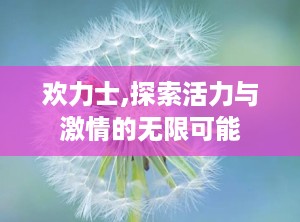 欢力士,探索活力与激情的无限可能