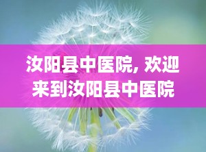 汝阳县中医院, 欢迎来到汝阳县中医院