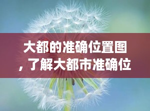 大都的准确位置图, 了解大都市准确位置图的重要性