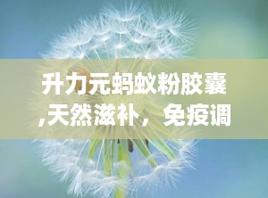 升力元蚂蚁粉胶囊,天然滋补，免疫调节，守护健康之道