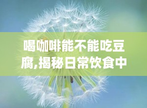 喝咖啡能不能吃豆腐,揭秘日常饮食中的健康选择