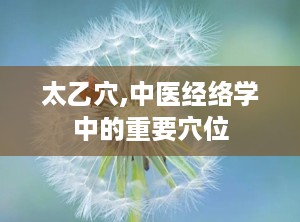 太乙穴,中医经络学中的重要穴位