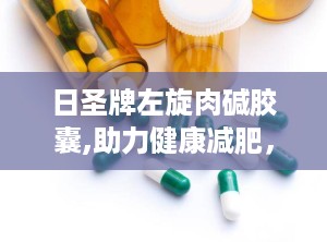 日圣牌左旋肉碱胶囊,助力健康减肥，提升运动效能的天然选择