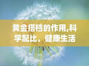 黄金搭档的作用,科学配比，健康生活新选择