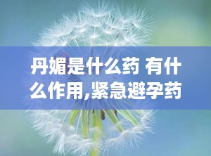 丹媚是什么药 有什么作用,紧急避孕药的速效与注意事项