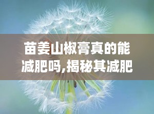 苗姜山椒膏真的能减肥吗,揭秘其减肥功效与科学使用方法